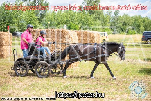 Mintakép 20260613-1659
