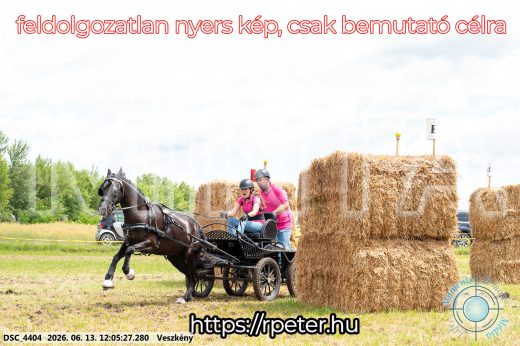 Mintakép 20260613-1661