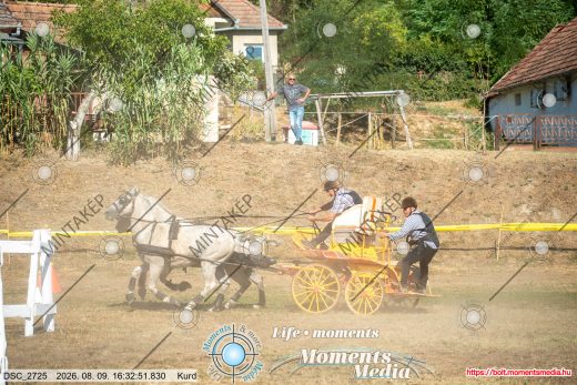 Mintakép 20260809-1612
