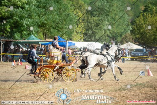 Mintakép 20260809-1617