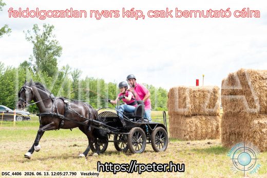 Mintakép 20260613-1662