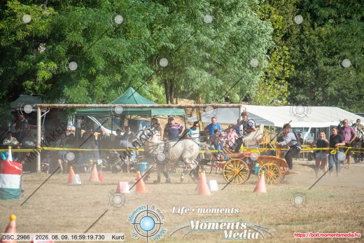 Mintakép 20260809-1623