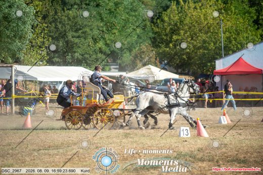 Mintakép 20260809-1624