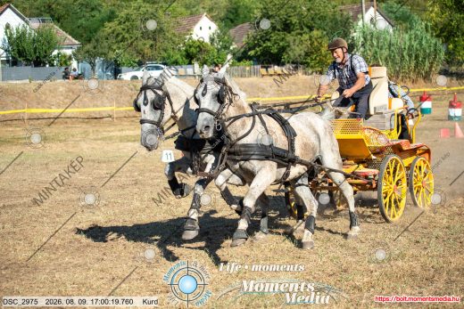 Mintakép 20260809-1630