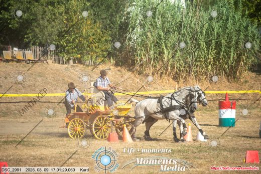 Mintakép 20260809-1639