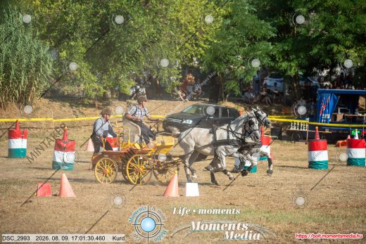 Mintakép 20260809-1640