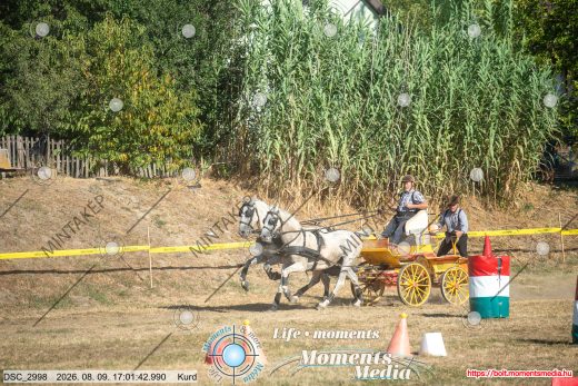 Mintakép 20260809-1642