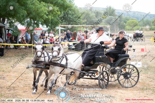Mintakép 20260808-581