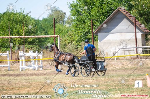 Mintakép 20260809-1648