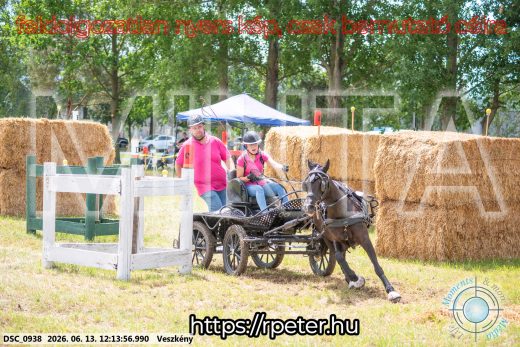 Mintakép 20260613-1672
