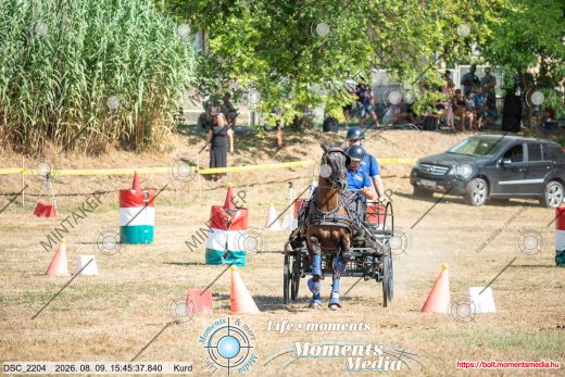 Mintakép 20260809-1683