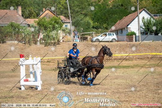 Mintakép 20260809-1690