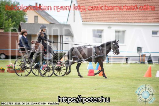 Mintakép 20260614-795