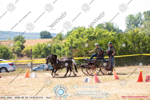 Mintakép 20260809-1699
