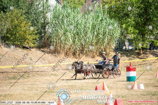 Mintakép 20260809-1713