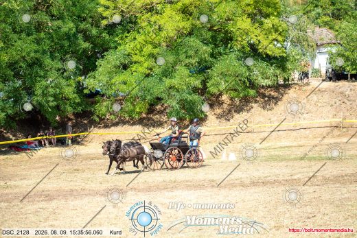 Mintakép 20260809-1714