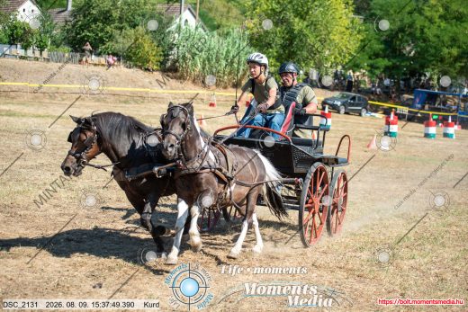 Mintakép 20260809-1717