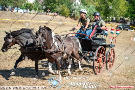 Mintakép 20260809-1718