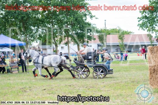 Mintakép 20260613-147