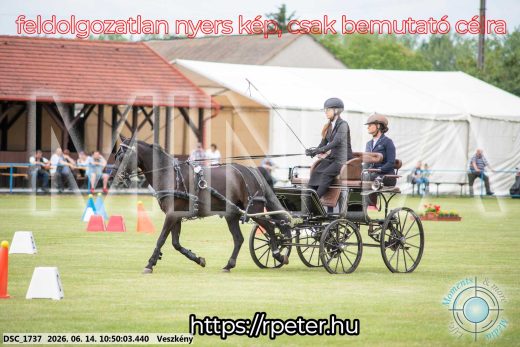 Mintakép 20260614-798