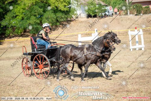 Mintakép 20260809-1723