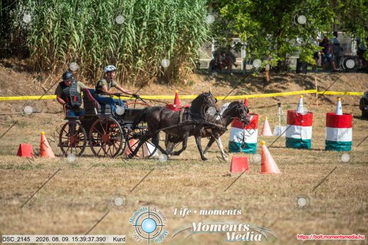 Mintakép 20260809-1726