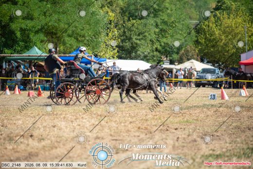 Mintakép 20260809-1728