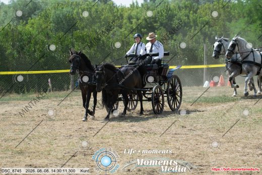 Mintakép 20260808-643