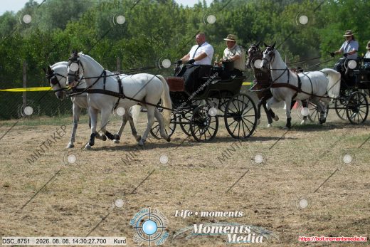 Mintakép 20260808-647