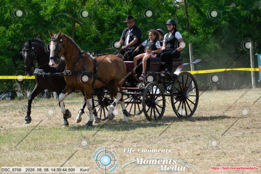 Mintakép 20260808-652