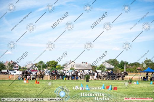 Mintakép 20260822-9