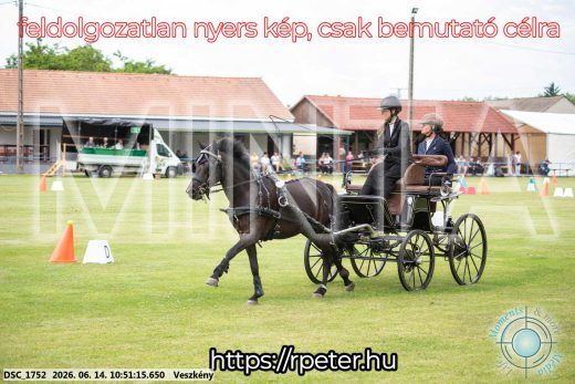 Mintakép 20260614-804