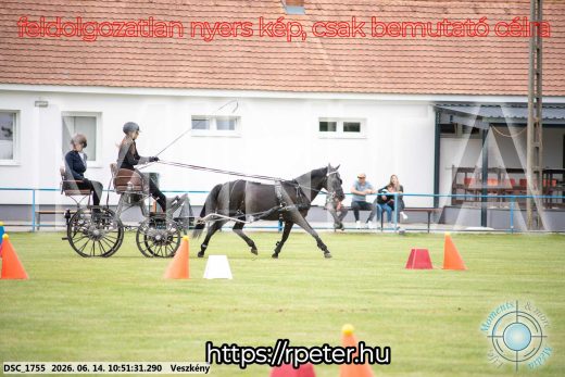 Mintakép 20260614-805