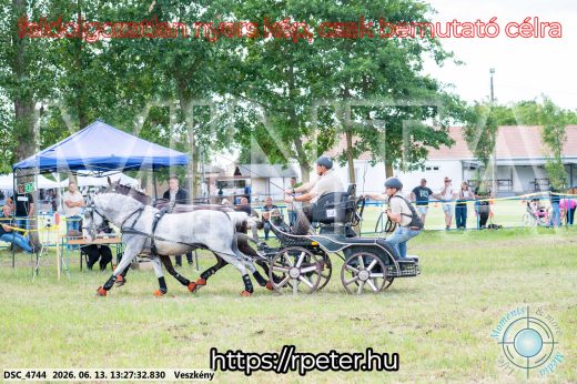 Mintakép 20260613-148