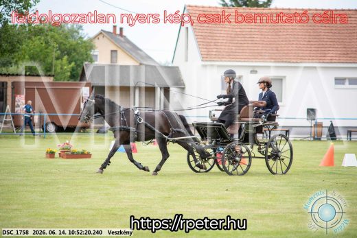 Mintakép 20260614-808