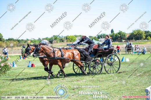 Mintakép 20260822-131