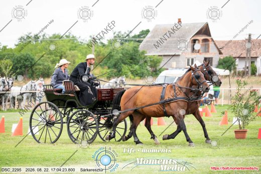 Mintakép 20260822-142