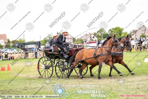 Mintakép 20260822-148