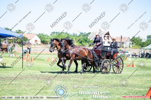 20260822-123450-DSC_0368.jpg