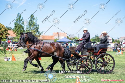 20260822-123454-DSC_0373.jpg