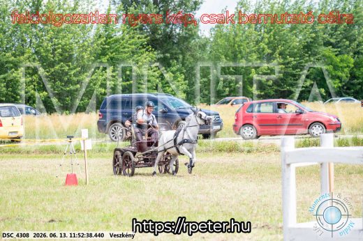 Mintakép 20260613-1677