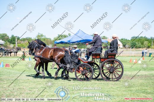 Mintakép 20260822-169