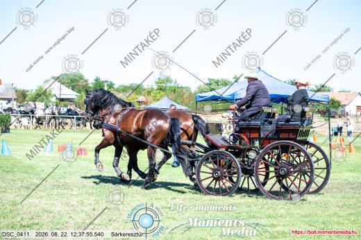 Mintakép 20260822-180