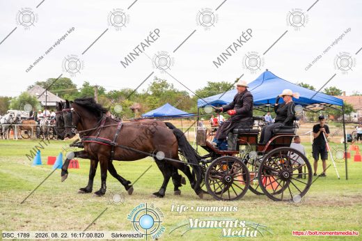 Mintakép 20260822-182