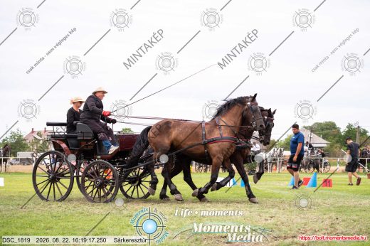Mintakép 20260822-204