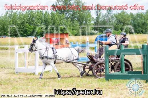 Mintakép 20260613-1683