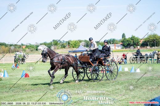 Mintakép 20260822-299