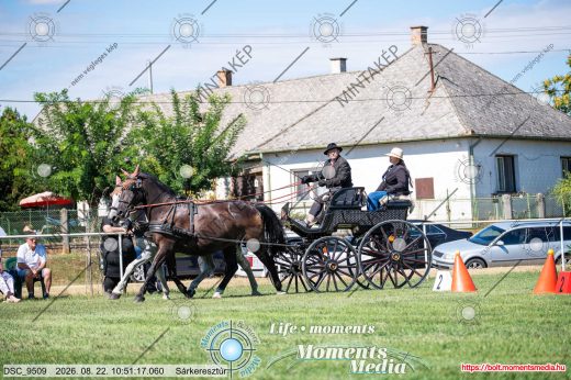 Mintakép 20260822-323