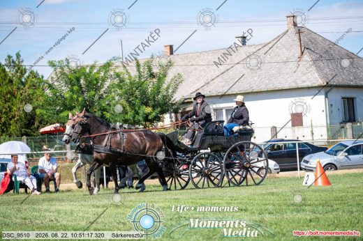 Mintakép 20260822-324