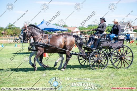 Mintakép 20260822-340